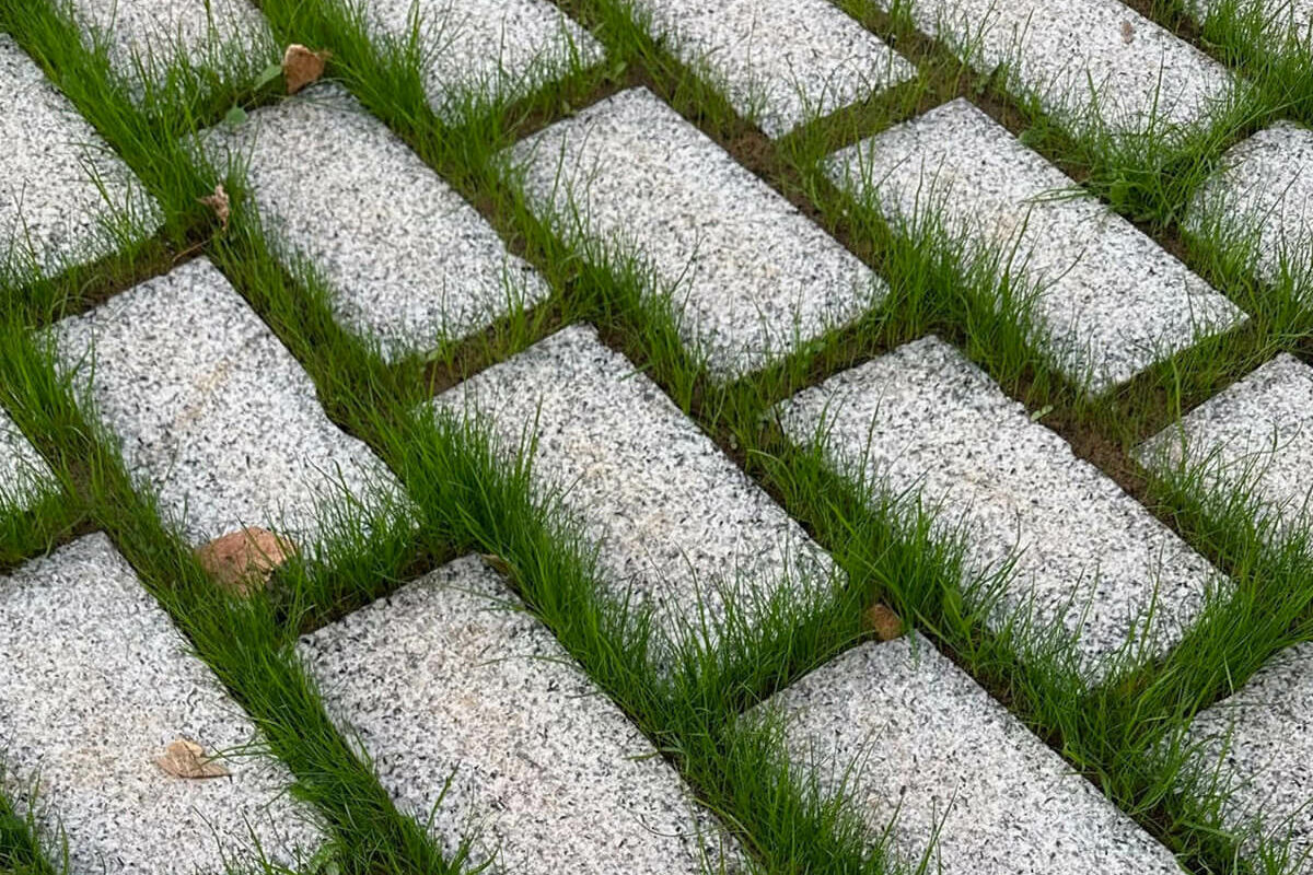 pavé en enherbé